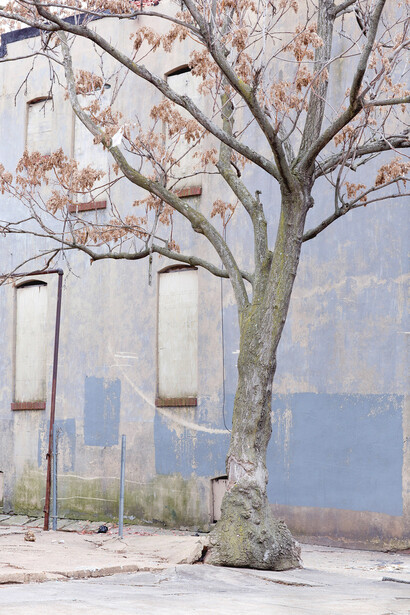 Paul Seawright, Untitled (Blue Wall), 2015, Pigment print – framed and unmounted, 109 x 81.2 cm, 42.9 x 32 in, image courtesy of the artist and Kerlin Gallery, Dublin
