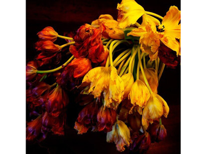 Alan Gaynor “Flowers_RIP” Archival ink jet print