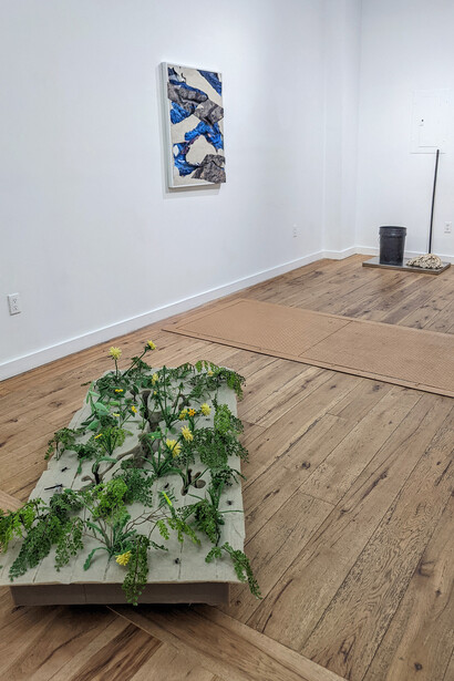 Contaminated Landscape, Installation View, Courtesy Marc Straus 