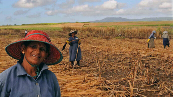 Pablo Bartholomew. Agricultores indianos