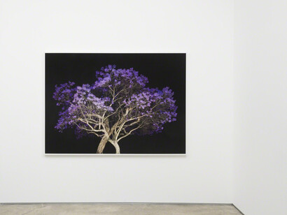 Amir Zaki. Courtesy of Edward Cella Art & Architecture