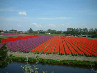 Stunning colors in Nederland