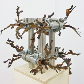 Luciana Lamothe. Courtesy of Alberta Pane