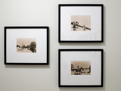 David Levinthal. Courtesy of NSU Art Museum