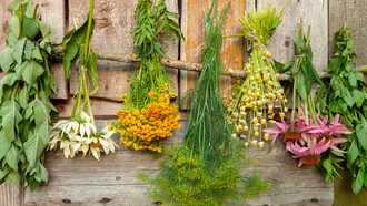 Ramos de plantas medicinales