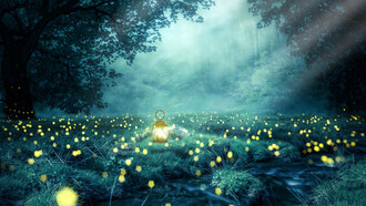 A night forest of trees, with the glow worms