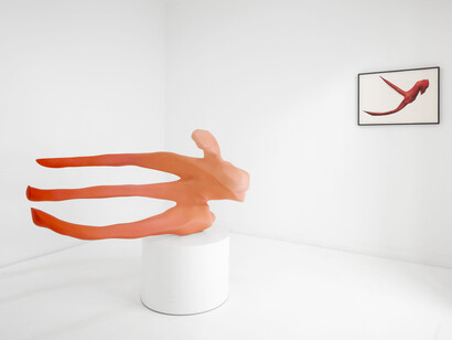 Teresa Solar Abboud, Tu sombra sustituida, exhibition view. Courtesy of Travesía Cuatro  Gallery