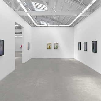 Sherin Guirguis, Into the lake of fire // ⲉ̀ϧⲟⲩⲛ ⲉ̀ϯⲗⲩⲙⲛⲏ ⲛ̀ⲭ̀ⲣⲱⲙ, exhibition view. Courtesy of Luis De Jesus Los Angeles