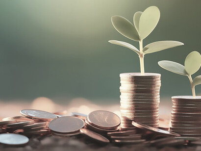 In the visual metaphor, currency interwoven with a thriving plant vividly symbolizes countries' dedication to green investments, embodying a collective pursuit of financial growth intertwined with environmental sustainability