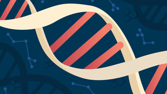 La photo de la double hélice de l'ADN illustre une découverte fondamentale dans la compréhension des mécanismes génétiques