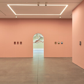 Nicolas Party, Dead fish, exhibition view. Courtesy of Karma Gallery