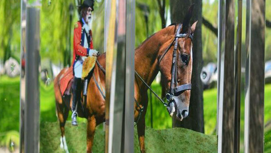 Island of Empirical Data and Other Fabrications, Exhibition view. Courtesy of Bronx Museum 