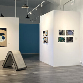 Fabio Cipolla and Sofia Fresia, Corpi in transito, exhibition view. Courtesy of the Febo e Dafne Gallery