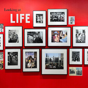 Looking at Life, exhibition view. Courtesy of Staley-Wise Gallery