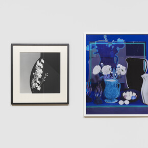 Studio Photography. Courtesy of Simon Lee Gallery