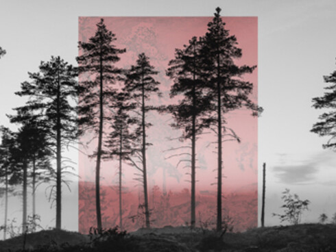 Visions of Nature. Courtesy of Kunst Haus Wien