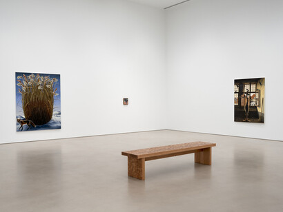 Emily Mae Smith, Transit of Venus, exhibition view. Courtesy of Petzel Gallery