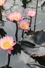 L'Orto Botanico nei colori d'autunno