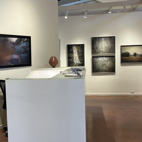 Kate Breakey, Selected works, exhibition view. Courtesy of Etherton Gallery