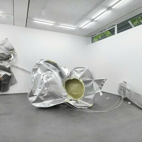 Dorian Gaudin, Exhibition view. Courtesy of Dittrich & Schlechtriem