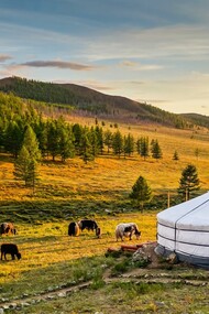 La Mongolia è il paese sovrano meno densamente popolato al mondo