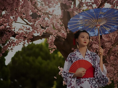 Enchanting scene of a Japanese woman adorned in kimono attire, gracefully standing under a picturesque cherry blossom tree with a traditional Wagasa umbrella, capturing the essence of Japan's timeless beauty