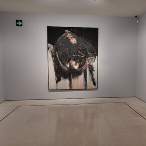 Various artists, Archipielago, exhibition view. Courtesy of Museo Carmen Thysse