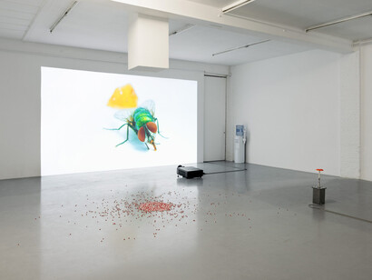 Carsten Höller, Turn, fly, fall, fly, exhibition view. Courtesy of Galerie Micheline Szwajcer