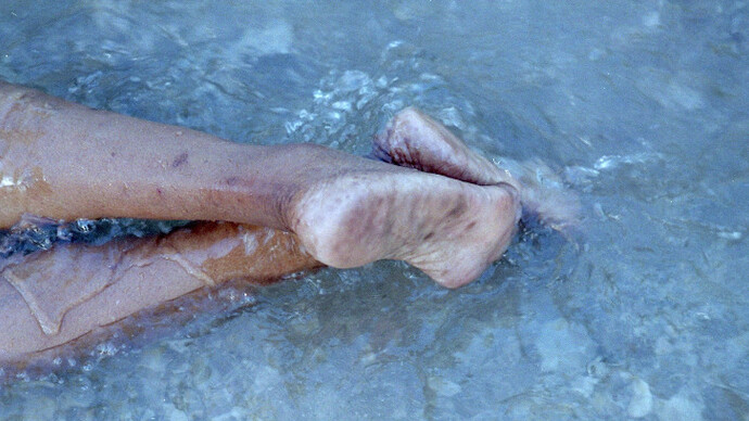 Finding Home. Courtesy of Spinello Projects