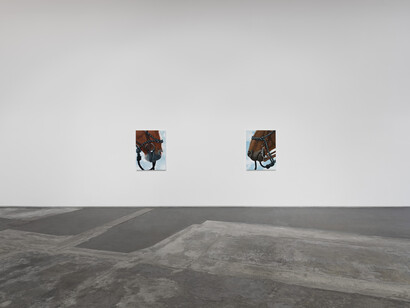 Sarah Miska, Happy trails, exhibition view. Courtesy of Night Gallery