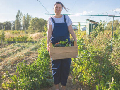 A female gardener harvesting fresh produce from her organic crops, showcasing sustainable agriculture and organic farming practice
