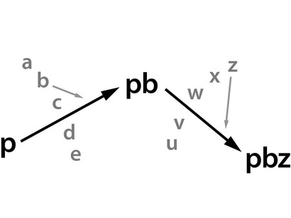 The pathway of contingency: the choice of the reaction partner is not driven by chance, but determined instead by the structural determinism of p (or pb) and by the environmental conditions (like temperature, pH, concentration, pressure, dielectric constant….) which are independent from each other and from p (or pb).