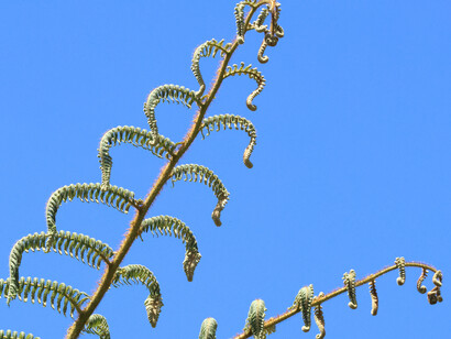 Horton Plains National Park in Sri Lanka