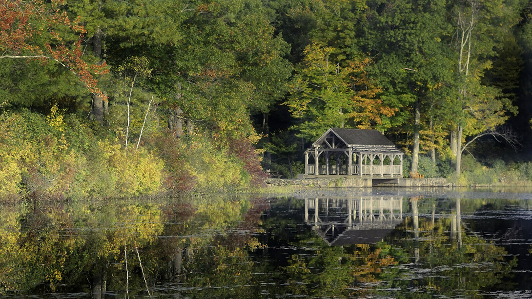 Before all the wind, the rain © Dave Lawler