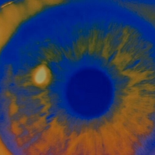 Stanley Kubrick, 2001, dettaglio