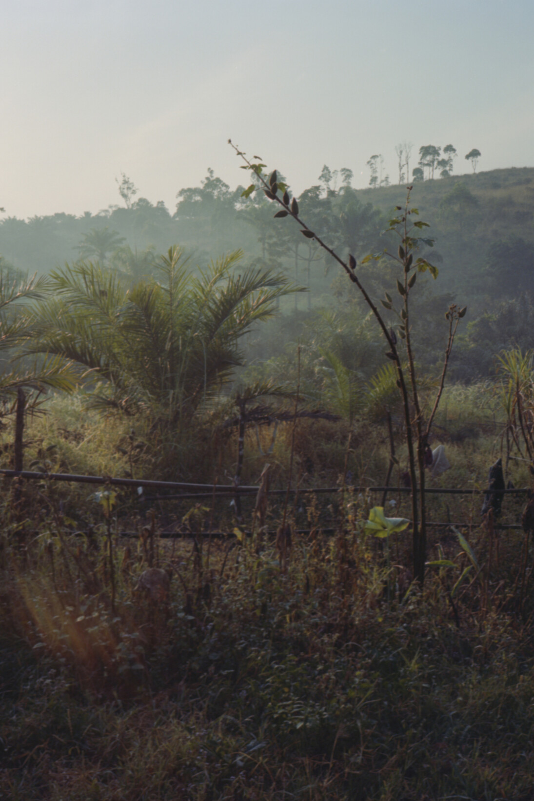 Pierrick Mouton, Untitled, 2011