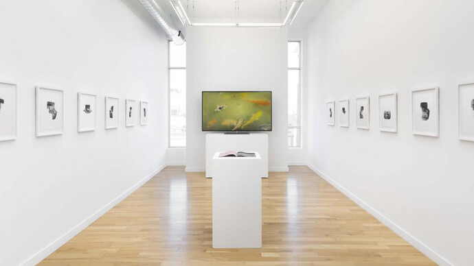 Ella Weber, A lazy love, exhibition view. Courtesy of Western Exhibitions