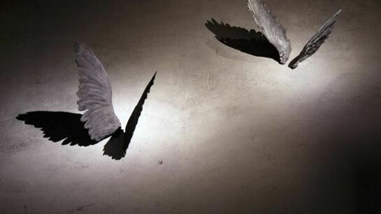 Francesca Grilli, Oro, performance installation, 2011
