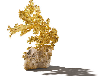 Nature en couleurs brillantes, photo d'exposition. Avec l'aimable autorisation du ROM