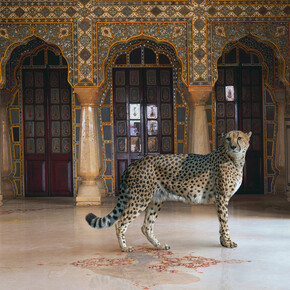 Karen Knorr, The return of the hunter, Chandra Mahal, Jaipur Palace, Jaipur, 2012. Courtesy of Sundaram Tagore Gallery