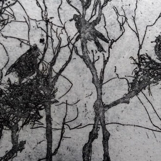 Summer Show. Courtesy of Graphic Studio Gallery