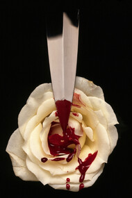 Faca e flor