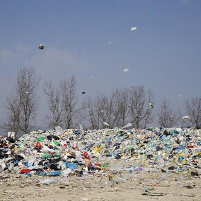 Toasted Furniture. Courtesy of MAO