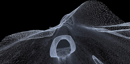 Not A Single Bone. Courtesy of Nome