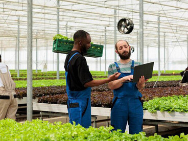 Amidst the bustling farm, workers prepare the day's harvest, unaware that some of the food they grow may contain hidden insect-derived additives