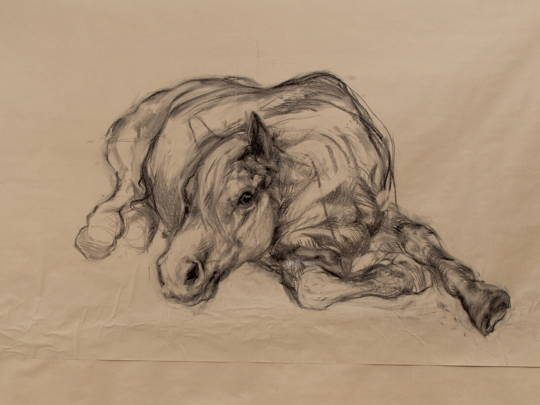 Nicola Hicks, Untitled (Horse lying down), 2014, charcoal on paper, © Nicola Hicks, Courtesy of Flowers Gallery