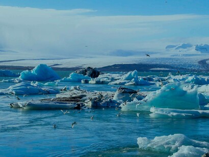 Icebergs nell'oceano artico