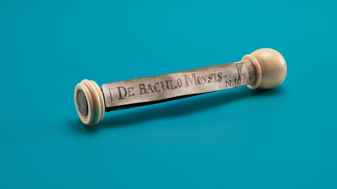 Relic of the so-called staff of Moses, mediterranean region. Courtesy of the Jewish Museum