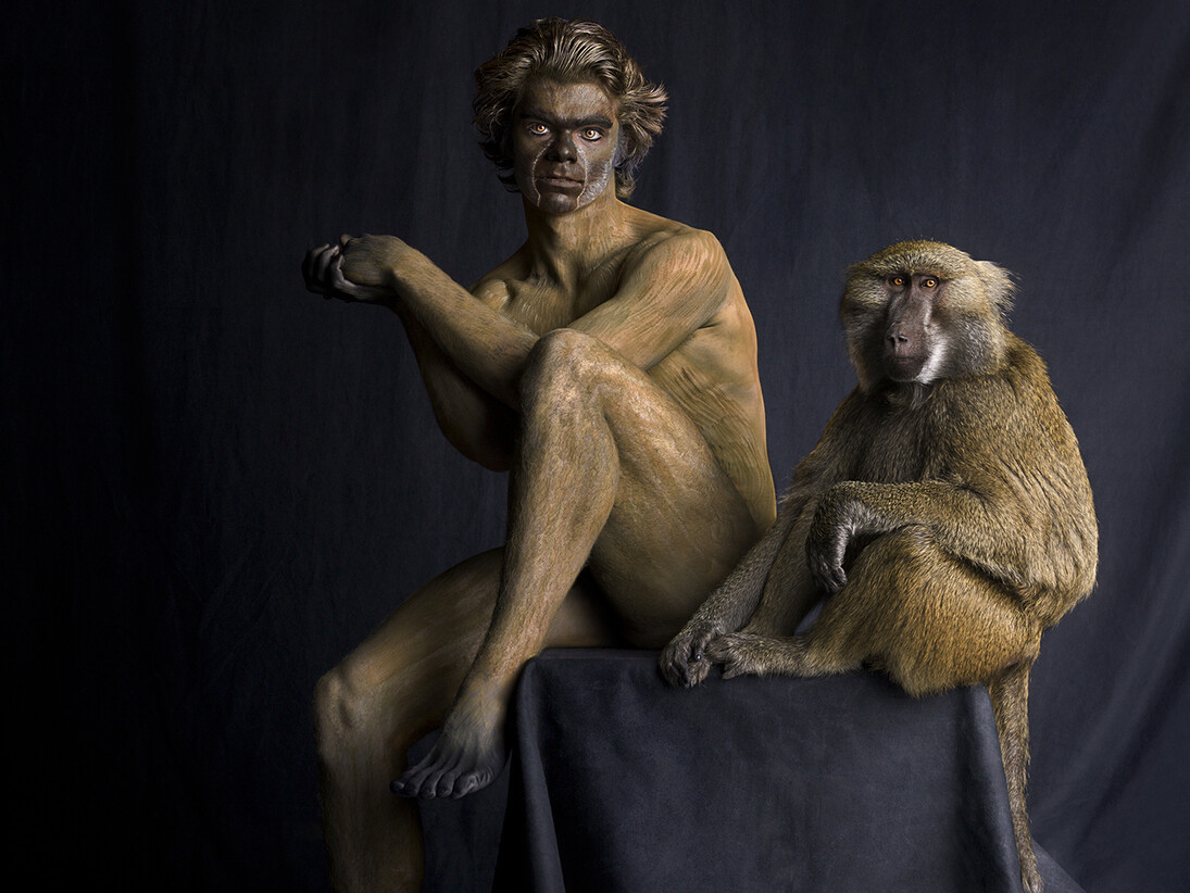 Lennette Newell, Baboon (detail), Archival pigment print on Hahnemühle Fine Art paper, 100 x 76 cm, Edition of 12, © Lennette Newell, 2011