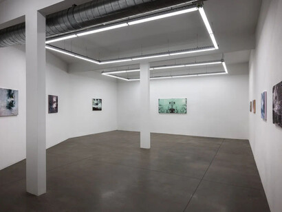 Heide Fasnacht, Nature once removed, exhibition view. Courtesy of Shoshana Wayne Gallery 